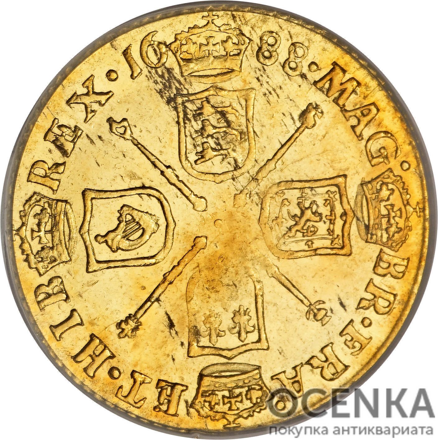 «Гінея, що говорить» та інші