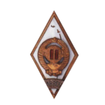 Неофициальные знаки за окончание военных учебных завидений