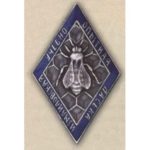 Нагрудний знак «Ізмайлівська навчально-дослідна пасіка». 30-ті роки.