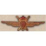 Нагрудный знак «Военный летчик 1-го класса»
