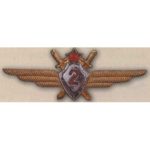 Нагрудный знак «Военный летчик 2-го класса»