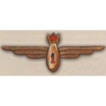 Нагрудный знак «Военный штурман 1-го класса»