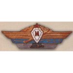 Нагрудный знак «Специалист-мастер»