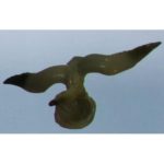 Статуетка Альбатрос